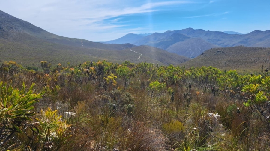 0 Bedroom Property for Sale in Caledon Rural Western Cape